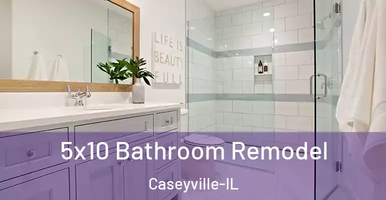 inner Bathroom imggen 5x10 Bathroom Remodel Caseyville-IL