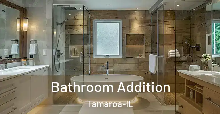 inner Bathroom imggen Bathroom Addition Tamaroa-IL