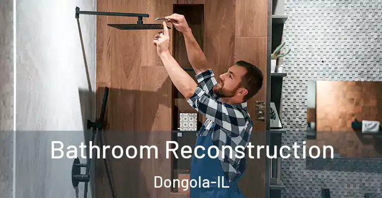 inner Bathroom imggen Bathroom Reconstruction Dongola-IL