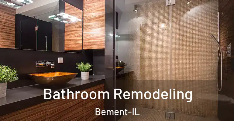 inner Bathroom imggen Bathroom Remodeling Bement-IL