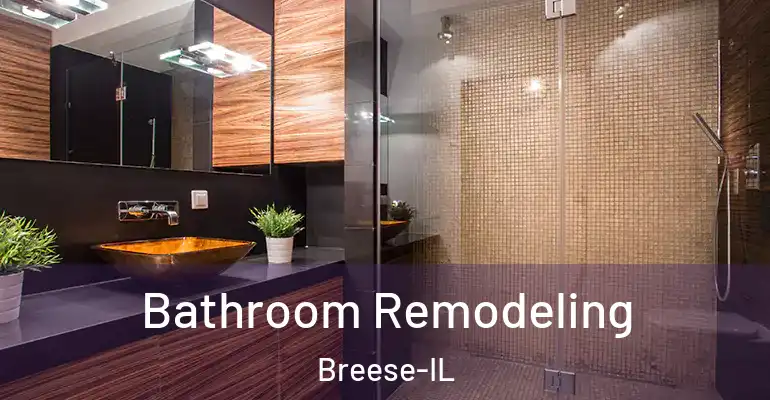 inner Bathroom imggen Bathroom Remodeling Breese-IL
