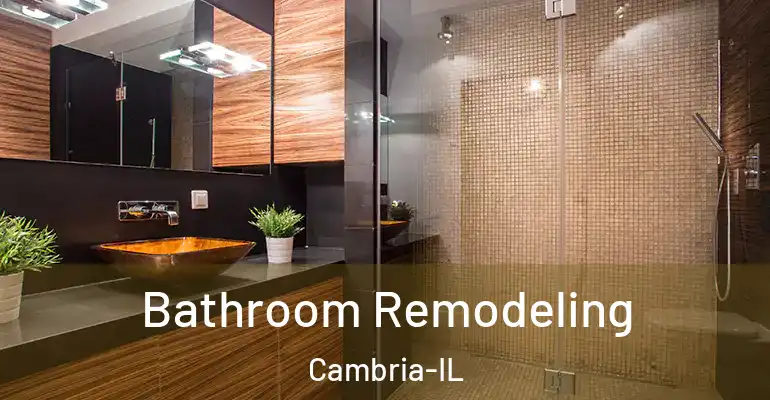 inner Bathroom imggen Bathroom Remodeling Cambria-IL