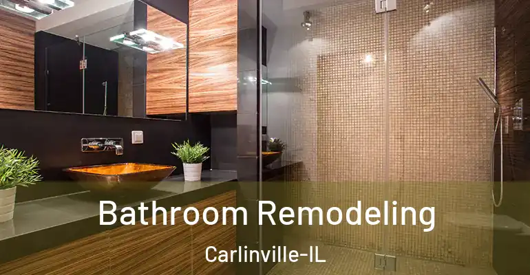 inner Bathroom imggen Bathroom Remodeling Carlinville-IL