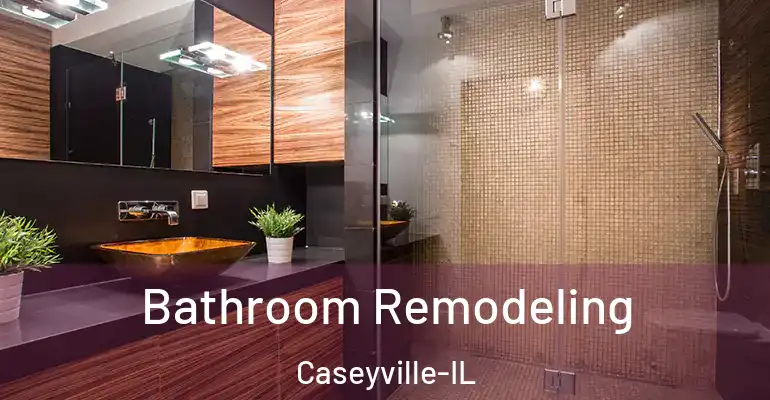 inner Bathroom imggen Bathroom Remodeling Caseyville-IL