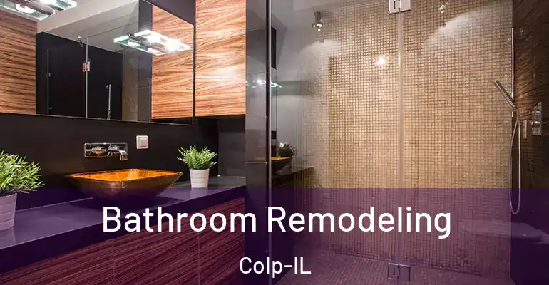 inner Bathroom imggen Bathroom Remodeling Colp-IL