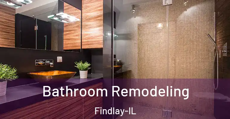 inner Bathroom imggen Bathroom Remodeling Findlay-IL
