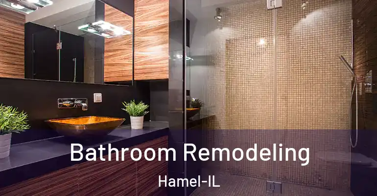 inner Bathroom imggen Bathroom Remodeling Hamel-IL