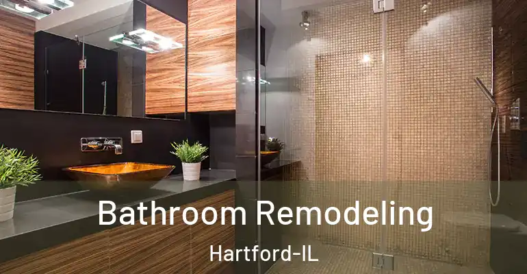 inner Bathroom imggen Bathroom Remodeling Hartford-IL