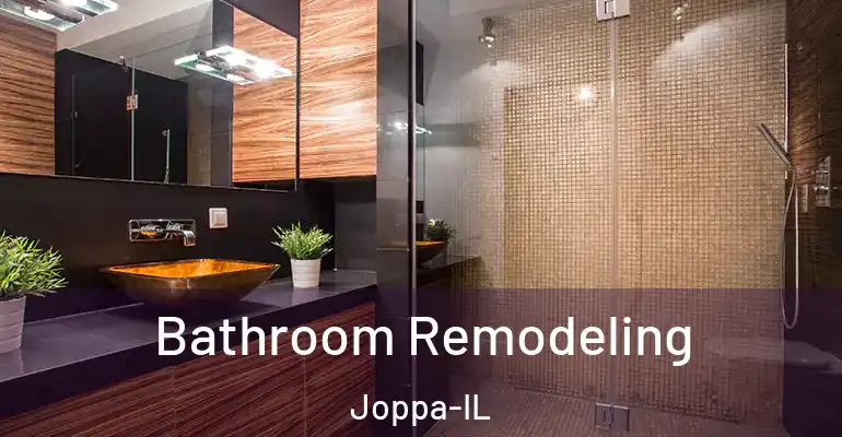 inner Bathroom imggen Bathroom Remodeling Joppa-IL