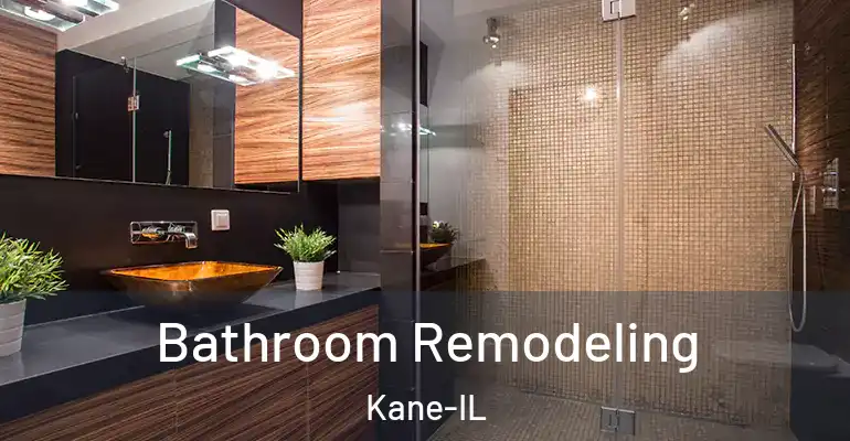 inner Bathroom imggen Bathroom Remodeling Kane-IL