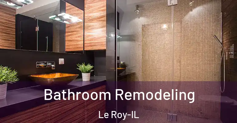 inner Bathroom imggen Bathroom Remodeling Le Roy-IL