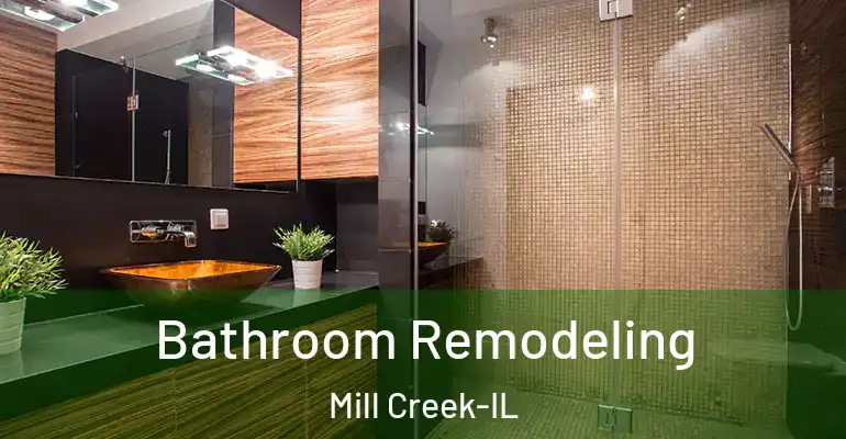 inner Bathroom imggen Bathroom Remodeling Mill Creek-IL
