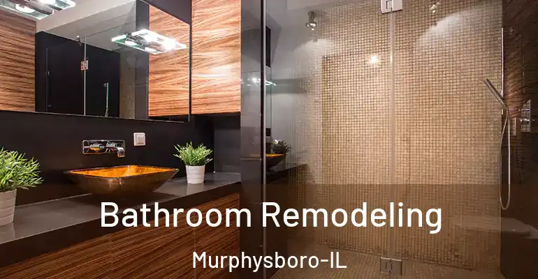 inner Bathroom imggen Bathroom Remodeling Murphysboro-IL