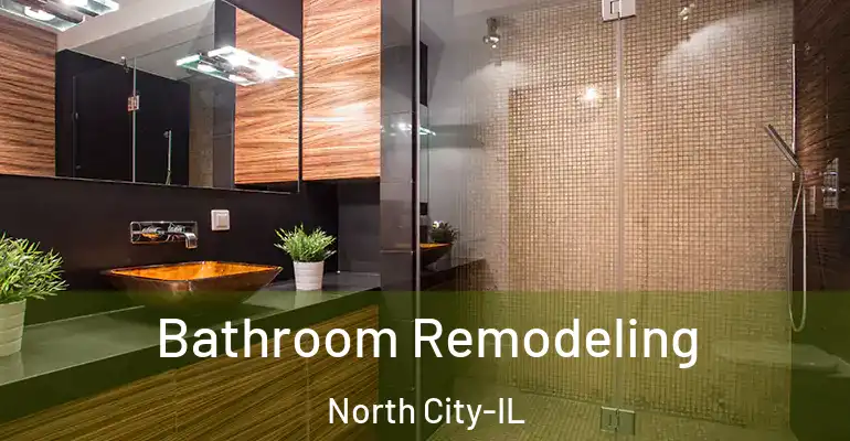 inner Bathroom imggen Bathroom Remodeling North City-IL
