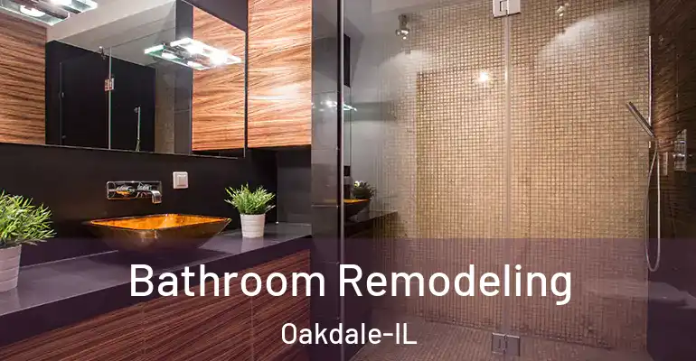 inner Bathroom imggen Bathroom Remodeling Oakdale-IL
