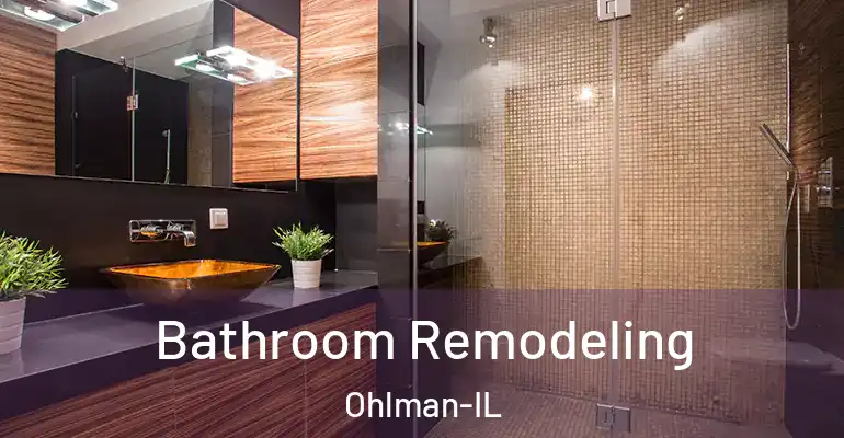 inner Bathroom imggen Bathroom Remodeling Ohlman-IL