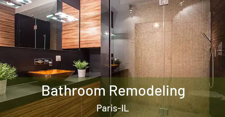 inner Bathroom imggen Bathroom Remodeling Paris-IL