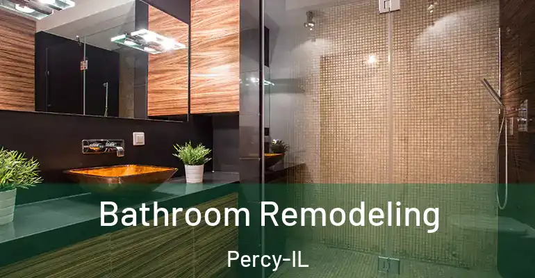 inner Bathroom imggen Bathroom Remodeling Percy-IL