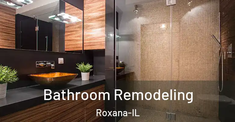 inner Bathroom imggen Bathroom Remodeling Roxana-IL