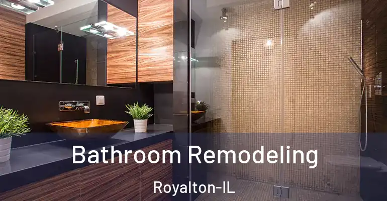 inner Bathroom imggen Bathroom Remodeling Royalton-IL