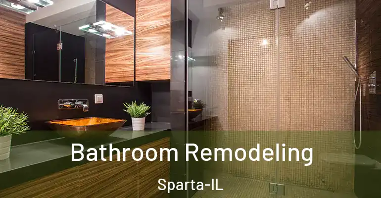 inner Bathroom imggen Bathroom Remodeling Sparta-IL