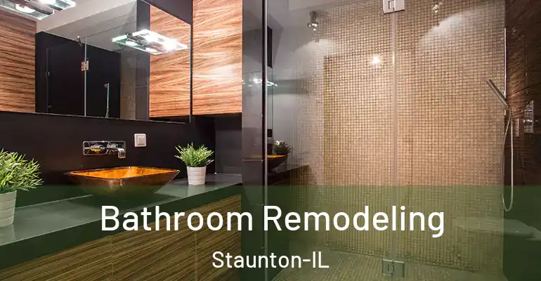 inner Bathroom imggen Bathroom Remodeling Staunton-IL