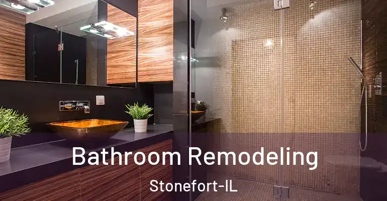 inner Bathroom imggen Bathroom Remodeling Stonefort-IL