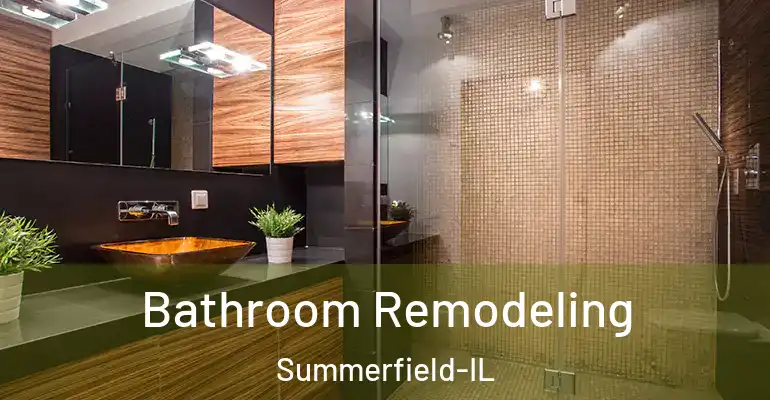 inner Bathroom imggen Bathroom Remodeling Summerfield-IL