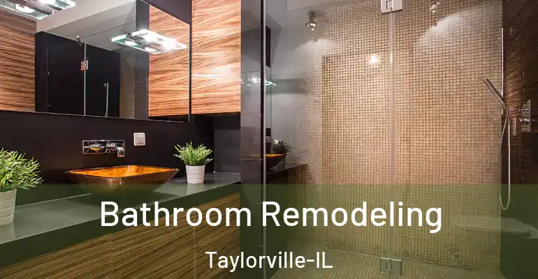 inner Bathroom imggen Bathroom Remodeling Taylorville-IL