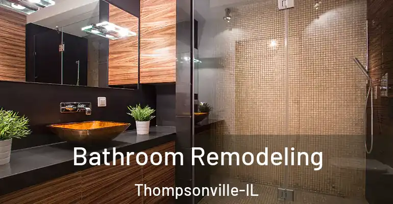 inner Bathroom imggen Bathroom Remodeling Thompsonville-IL