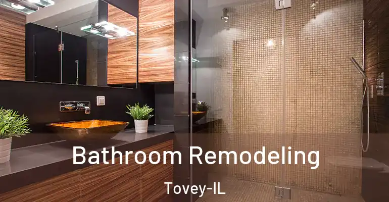 inner Bathroom imggen Bathroom Remodeling Tovey-IL