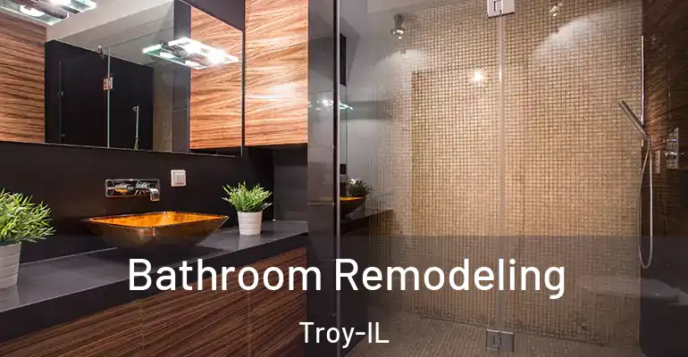 inner Bathroom imggen Bathroom Remodeling Troy-IL