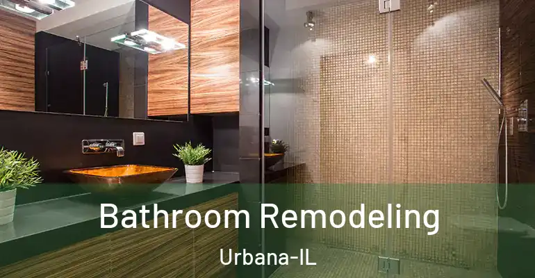 inner Bathroom imggen Bathroom Remodeling Urbana-IL