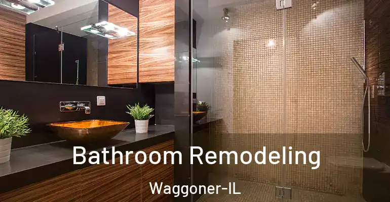 inner Bathroom imggen Bathroom Remodeling Waggoner-IL