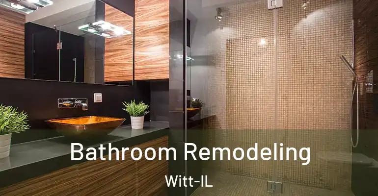 inner Bathroom imggen Bathroom Remodeling Witt-IL