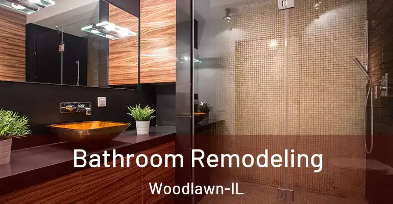 inner Bathroom imggen Bathroom Remodeling Woodlawn-IL