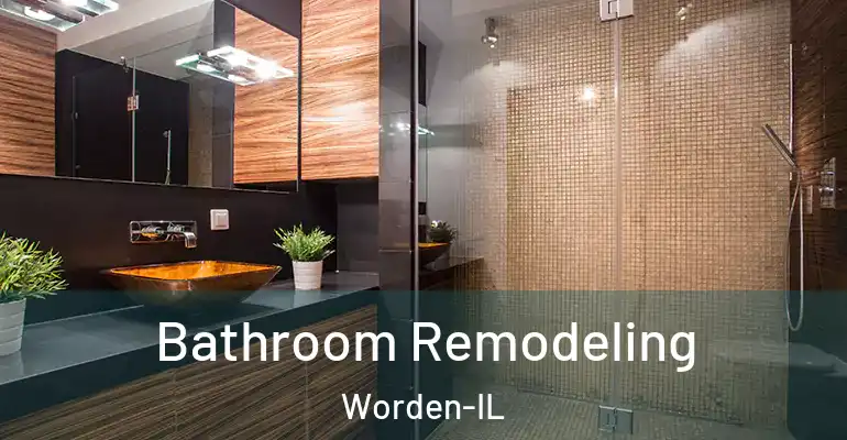 inner Bathroom imggen Bathroom Remodeling Worden-IL
