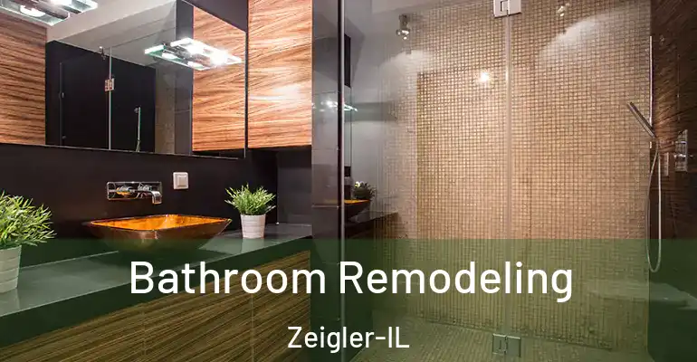 inner Bathroom imggen Bathroom Remodeling Zeigler-IL