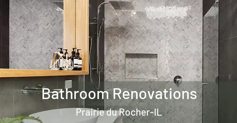 inner Bathroom imggen Bathroom Renovations Prairie du Rocher-IL