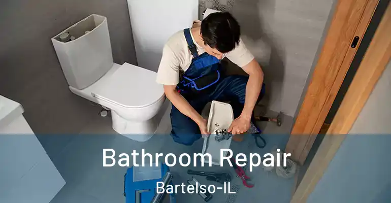 inner Bathroom imggen Bathroom Repair Bartelso-IL