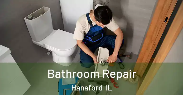 inner Bathroom imggen Bathroom Repair Hanaford-IL