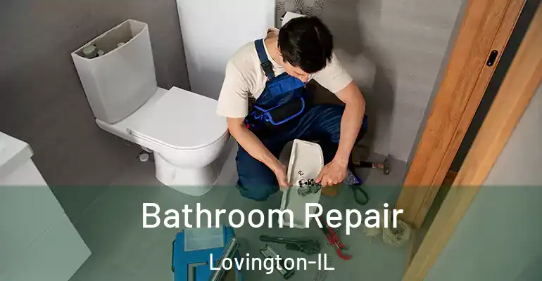 inner Bathroom imggen Bathroom Repair Lovington-IL