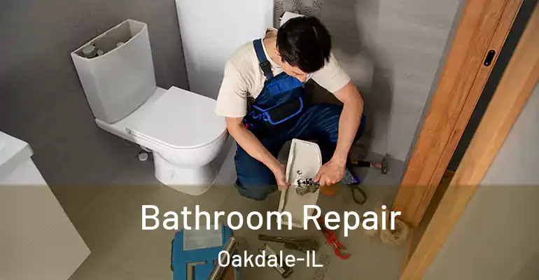 inner Bathroom imggen Bathroom Repair Oakdale-IL