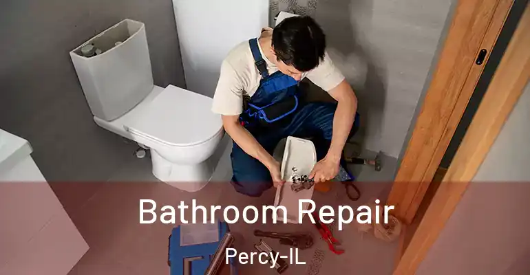 inner Bathroom imggen Bathroom Repair Percy-IL