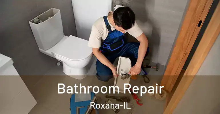inner Bathroom imggen Bathroom Repair Roxana-IL