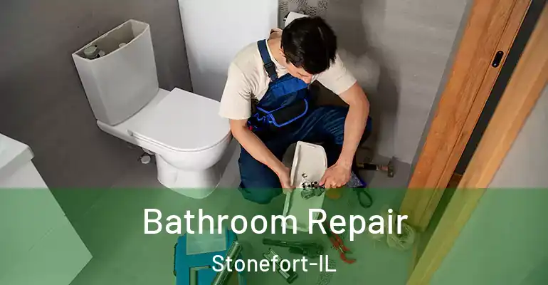 inner Bathroom imggen Bathroom Repair Stonefort-IL