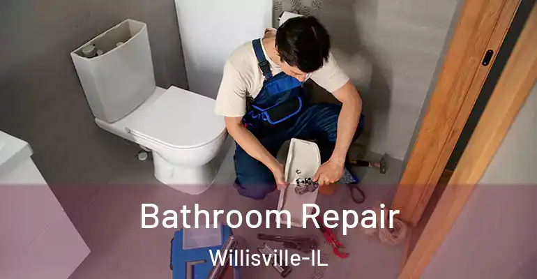 inner Bathroom imggen Bathroom Repair Willisville-IL