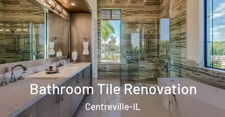 inner Bathroom imggen Bathroom Tile Renovation Centreville-IL