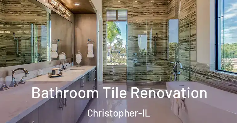 inner Bathroom imggen Bathroom Tile Renovation Christopher-IL