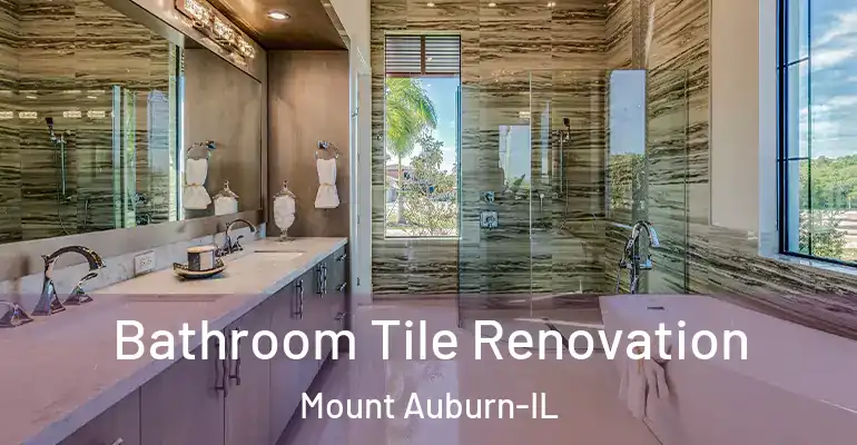 inner Bathroom imggen Bathroom Tile Renovation Mount Auburn-IL